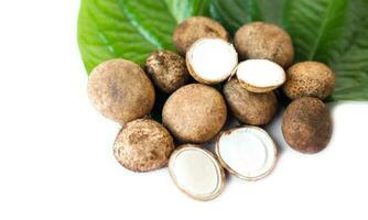 Earthstars , Astraeus hygrometricus, edible mushroom isolated on white background. Concept, natural food from forest, mold,spore, fungus. Seasonal mushroom nature grow in forest in Thailand. photo