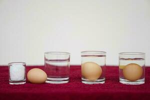 Close up science experiment about eggs in water, compare the density by adding salt into water, soak eggs in transparent glass. Concept, easy science activity for learning , studying lesson. Education photo