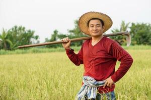 Handsome Asian man farmer hold a hoe on shoulder, put hand on waist, stand at paddy field. Feels confident. Concept, Agriculture occupation. Organic farming. Take care crop photo