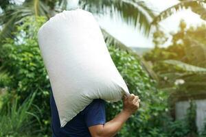 Back view of strong man holding heavy sack on his shoulders. Concept about hard- working , laborer . Working against poverty. photo