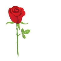 Red rose flower isolated on white background-Editable vector illustration.