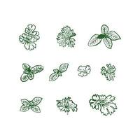 Set of hand drawn mint and oregano leaves. Vector illustration