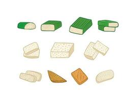 conjunto de diferente tipos de fermentado haba de soja vector ilustraciones en dibujos animados estilo