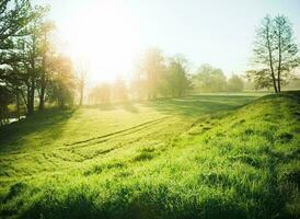 Nature green landscape sky background photo