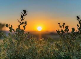 Nature green landscape sky background photo