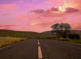 Nature green landscape sky background photo