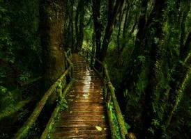 Nature green landscape sky background photo