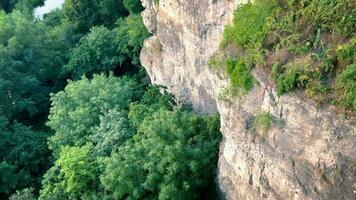 vue de au dessus sur le Roche falaise, grand vert des arbres grandir dessous. video