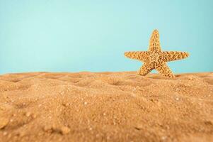 Background of isolated starfish on the golden beach photo