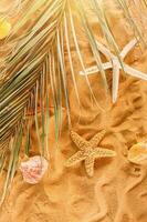 Background of starfishes and shells on the golden beach photo