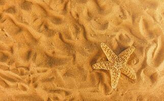 Background of isolated starfish on the golden beach photo