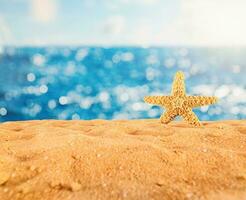 Background of isolated starfish on the golden beach photo