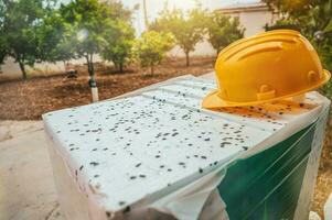 Polystyrene thermal cladding for energy saving on a new house photo