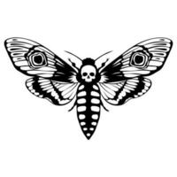 Death's head hawk moth. Acherontia atropos butterfly design, hand drawn vector illustration