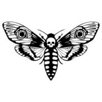 Death's head hawk moth. Acherontia atropos butterfly design, hand drawn vector illustration