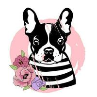 French bulldog with flowers. Cute black and white dog in a striped sweater. Vector illustration