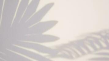 Summer motion graphics Tropical shadow overlay video