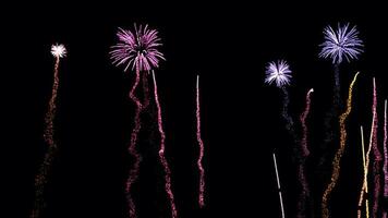 celebrar con un visual banquete, realista fuegos artificiales animación para nuevo año, aclarar arriba tu nuevo años fiesta, brillante celebraciones, un espectacular espectáculo video