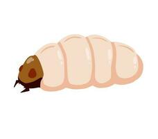 Edible caterpillar. White insect larva. Source of animal protein. Flat cartoon illustration isolated on white vector
