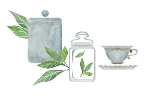 Watercolor hand drawn illustration. Porcelain tea pot cups paper bag green leaves storage jar. Isolated on white background. For invitations, cafe, restaurant food menu, print, website, cards vector