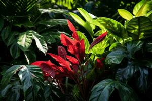 Vibrant red plant with lush green foliage in the backdrop photo