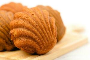 Madeleine cakes with a distinctive shell-like shape on white background photo