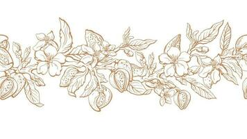 Almond texture print. Vector border. Drawn sketch