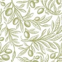 Oliva seamless pattern. Vector tree, green fruit