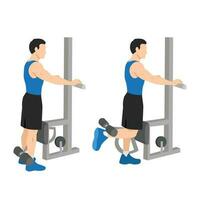 Man doing standing leg hamstring curls machine. vector