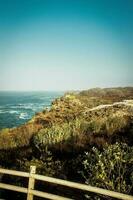 beach in the java photo