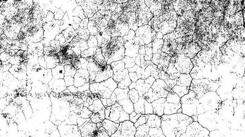 Grunge Texture Background vector