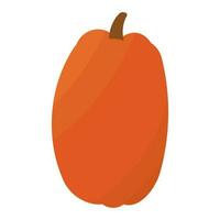 pumpkin orange autumn food garden element icon vector