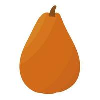 calabaza naranja otoño comida jardín elemento icono vector