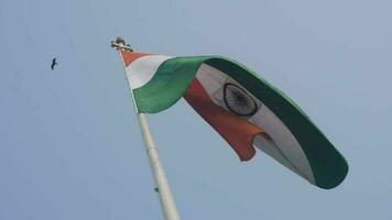 Indien flagga vajar högt på connaught plats med stolthet över blå himmel, Indien flagga vajar, indiska flaggan på självständighetsdagen och republikens dag i Indien, tilt up shot, viftande indiska flaggan, har ghar tiranga video