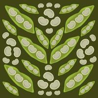 Lima beans seeds vector illustration for graphic design and decorative element