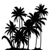 Palm Tree vector Palm tree silhouette Coconut tree vector silhouette