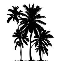 Palm Tree vector Palm tree silhouette Coconut tree vector silhouette