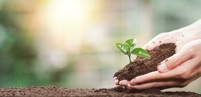 plantando arboles reducir global calentamiento,prevención y tratamiento aire contaminación ,ambiental y ecológico Campaña ,verde energía innovación y ambientalmente simpático energía tecnología ,ahorro mundo foto