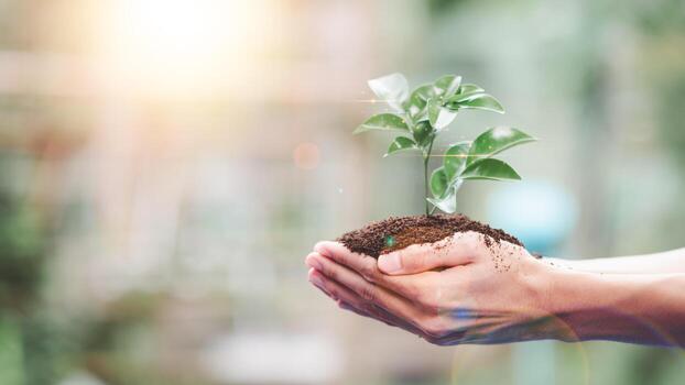 Planting trees reduce global warming,Prevention and treatment air pollution ,Environmental and Ecological Campaign ,Green energy innovation and environmentally friendly energy technology ,saving world photo