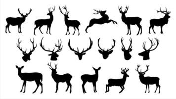 Vector deer silhouette collection