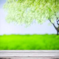 Empty wooden table with blurred green garden background. For product display. photo