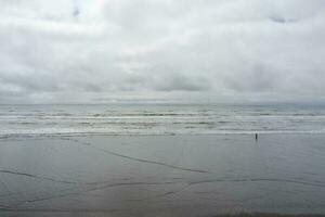 Aerial view of the beach at Seabrook, Washington photo