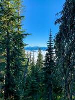 Mount Rainier from High Rock Lookout photo