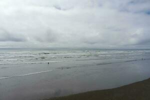 Aerial view of the beach at Seabrook, Washington photo