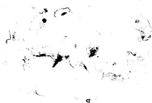 Rustic grunge vector texture with grain and stains. Abstract noise background. Weathered surface.