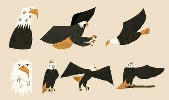 Set in different poses of a bald eagle. Vector illustration in hand drawn style