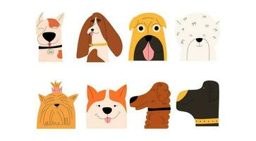 Set of portraits of emotional dogs of different breeds. Vector illustration in flat style