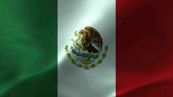 mexico bandera ondulación textil texturizado antecedentes. sin costura lazo animación video