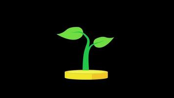 plant with golden coin invest animation video