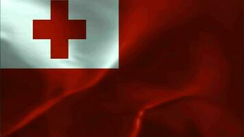 Tonga Flag Waving Textile Textured Background. Seamless Loop Animation video